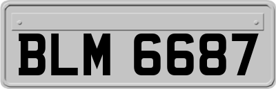 BLM6687