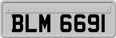 BLM6691