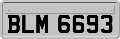 BLM6693