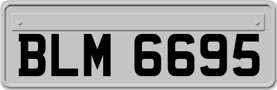 BLM6695