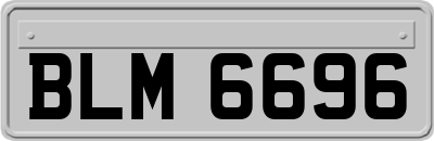 BLM6696