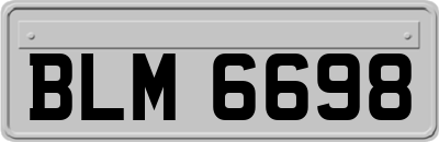 BLM6698