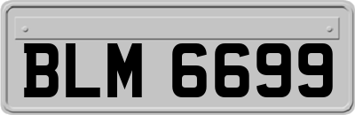 BLM6699