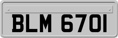 BLM6701