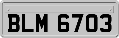 BLM6703