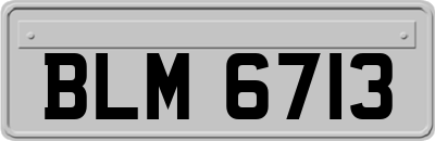 BLM6713