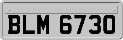 BLM6730