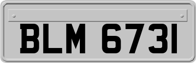 BLM6731
