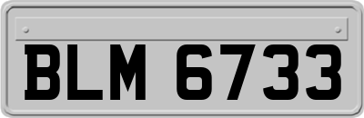 BLM6733
