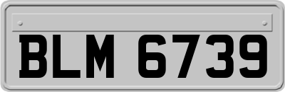 BLM6739