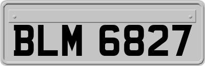 BLM6827
