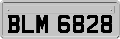 BLM6828