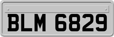 BLM6829