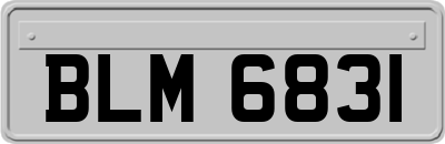BLM6831