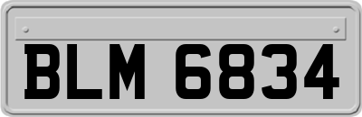 BLM6834