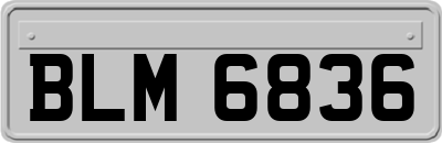 BLM6836