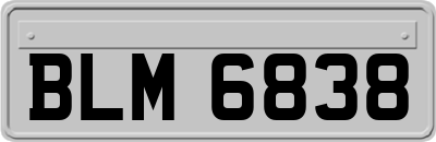 BLM6838