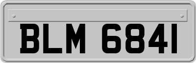 BLM6841