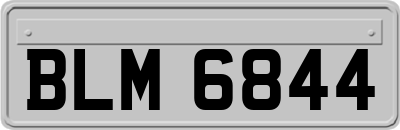 BLM6844