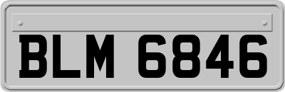 BLM6846