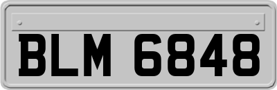 BLM6848