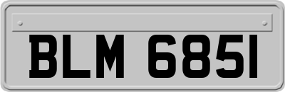 BLM6851