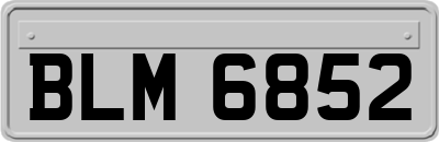 BLM6852