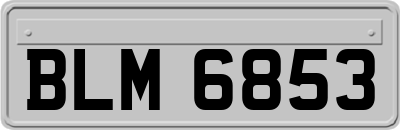 BLM6853