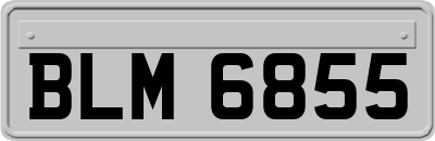 BLM6855