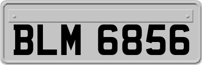 BLM6856