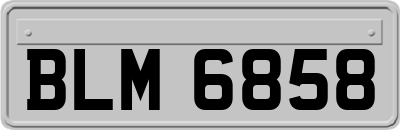 BLM6858