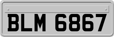 BLM6867