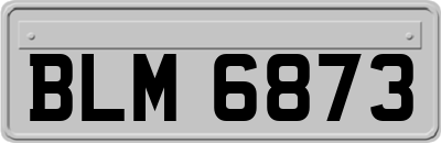 BLM6873