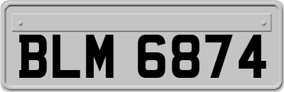 BLM6874