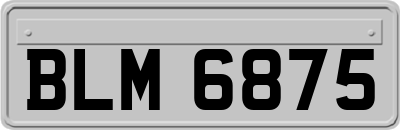BLM6875