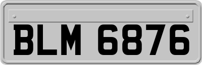 BLM6876