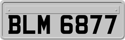 BLM6877
