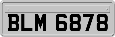 BLM6878