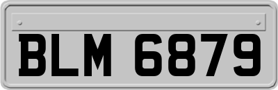 BLM6879