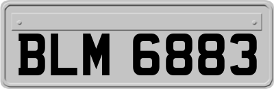 BLM6883