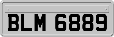 BLM6889