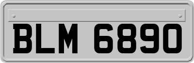 BLM6890