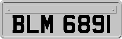 BLM6891