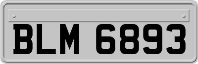 BLM6893