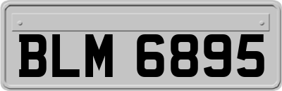 BLM6895