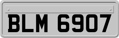 BLM6907