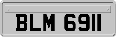 BLM6911