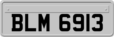 BLM6913