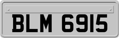 BLM6915