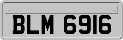BLM6916